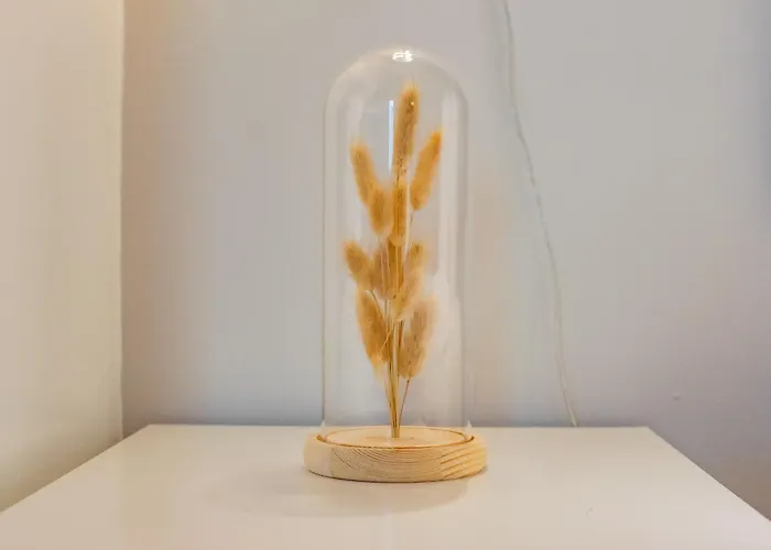 Harbour View ゴールウェイ